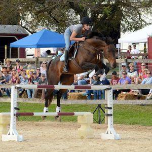 Meet your Posher, Larisa